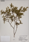 000187234-thumbnail.jpg