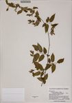 000187252-thumbnail.jpg