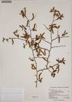 000187253-thumbnail.jpg