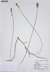 000187260-thumbnail.jpg