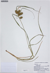000187262-thumbnail.jpg