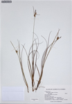000187264-thumbnail.jpg