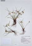 000187267-thumbnail.jpg