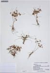 000187268-thumbnail.jpg