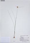 000187271-thumbnail.jpg