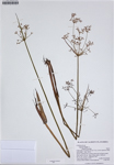000187272-thumbnail.jpg