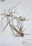 000187274-thumbnail.jpg