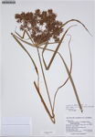 000187277-thumbnail.jpg