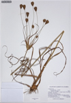000187280-thumbnail.jpg