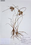 000187281-thumbnail.jpg