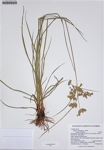 000187287-thumbnail.jpg
