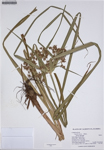 000187288-thumbnail.jpg