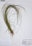 000187292-thumbnail.jpg
