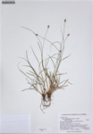 000187294-thumbnail.jpg