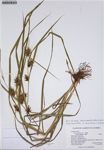 000187301-thumbnail.jpg