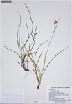 000187302-thumbnail.jpg