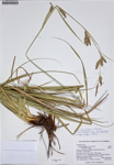 000187306-thumbnail.jpg