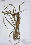 000187313-thumbnail.jpg