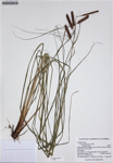 000187314-thumbnail.jpg