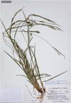 000187315-thumbnail.jpg