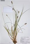 000187316-thumbnail.jpg