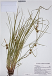 000187317-thumbnail.jpg