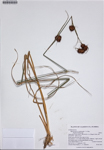 000187328-thumbnail.jpg
