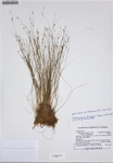 000187331-thumbnail.jpg