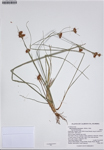 000187332-thumbnail.jpg