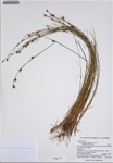000187333-thumbnail.jpg