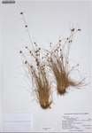 000187334-thumbnail.jpg