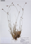 000187336-thumbnail.jpg