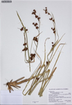 000187337-thumbnail.jpg