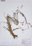 000187338-thumbnail.jpg