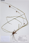 000187339-thumbnail.jpg
