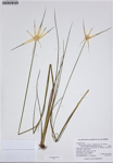 000187340-thumbnail.jpg