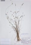 000187344-thumbnail.jpg
