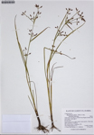 000187346-thumbnail.jpg
