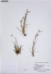 000187347-thumbnail.jpg