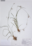 000187348-thumbnail.jpg