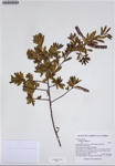 000187349-thumbnail.jpg