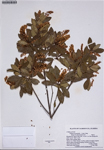 000187353-thumbnail.jpg