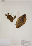 000187415-thumbnail.jpg