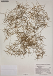 000187422-thumbnail.jpg