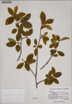 000187426-thumbnail.jpg