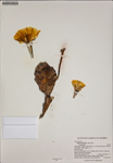 000187439-thumbnail.jpg
