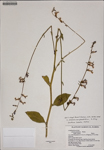 000187440-thumbnail.jpg