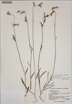 000187445-thumbnail.jpg