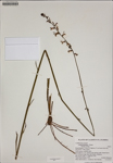 000187446-thumbnail.jpg