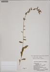 000187448-thumbnail.jpg
